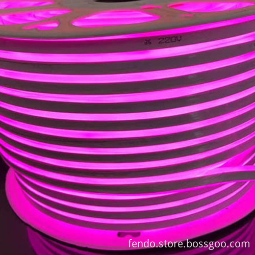 IP67 Waterproof 220V RGB Smart Neon Rope Light Strip (5050) - Indoor/Outdoor